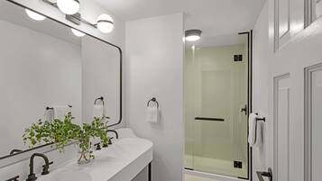 A modern bathroom with a large mirror, two sinks, a glass shower enclosure, and a plant on the vanity.
