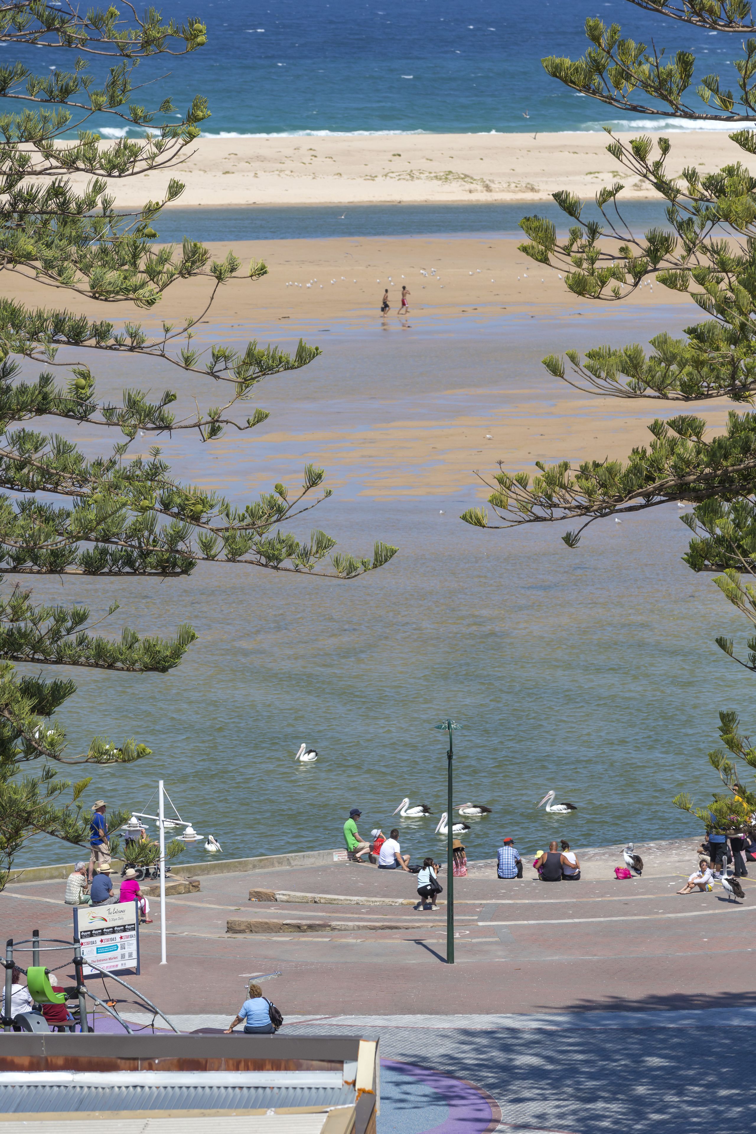A beach with people sitting and walking along the shore, a pier with boats, and a signboard.