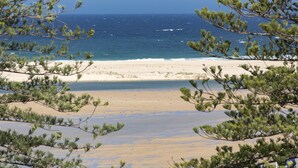 A beach with clear blue water, sandy shore, and pine trees in the foreground.