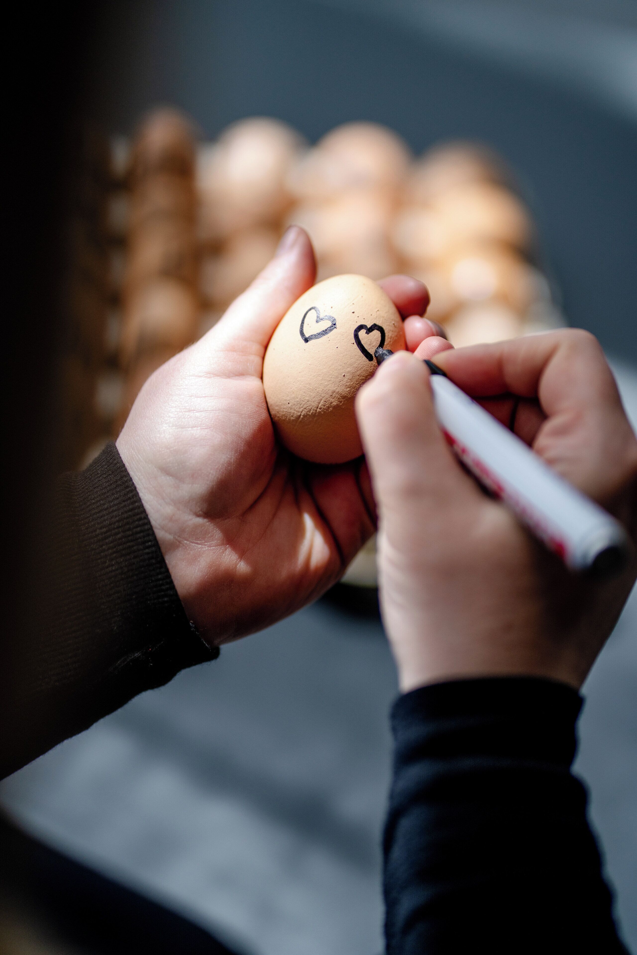 daily buffet breakfast (eur 24 per person)