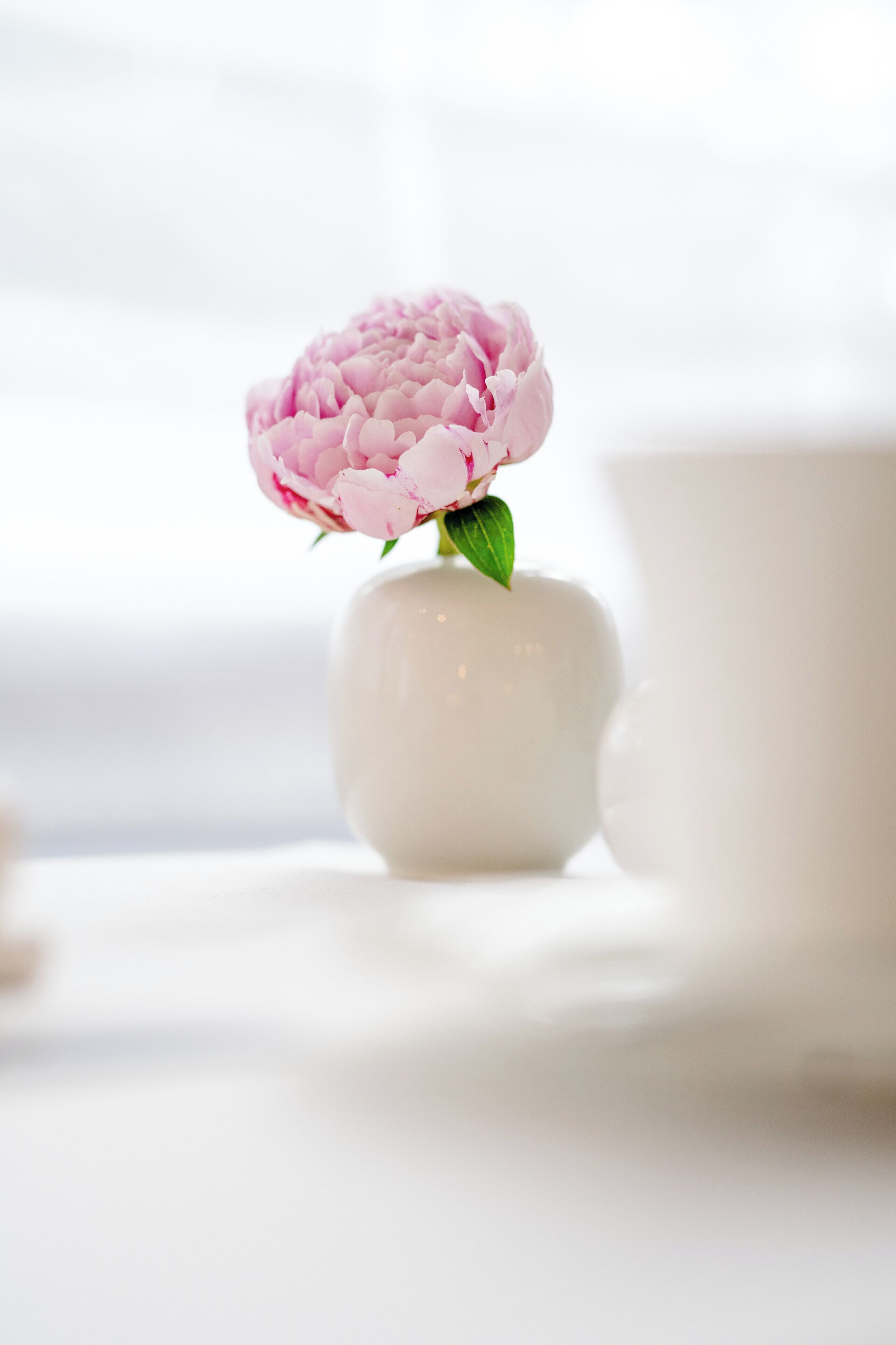 daily buffet breakfast (eur 24 per person)