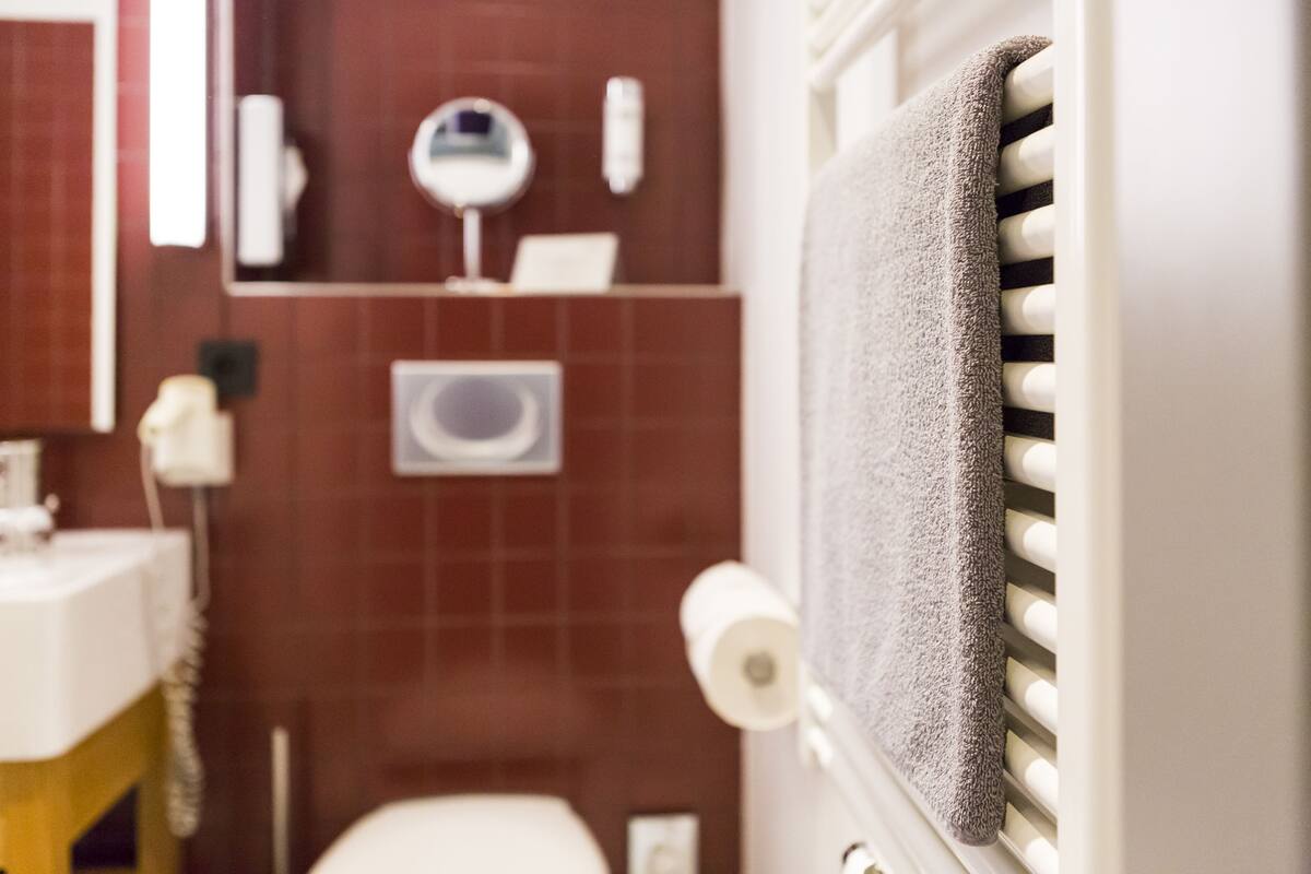 free toiletries, hair dryer, towels