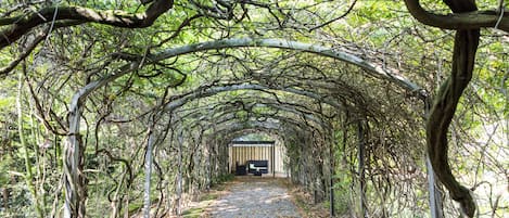 Tuin