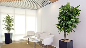 A modern waiting area with a large potted plant, white chairs, and a small table with magazines. - Séjours & Affaires Strasbourg Kléber (Strasbourg)