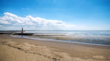 Vlak bij het strand