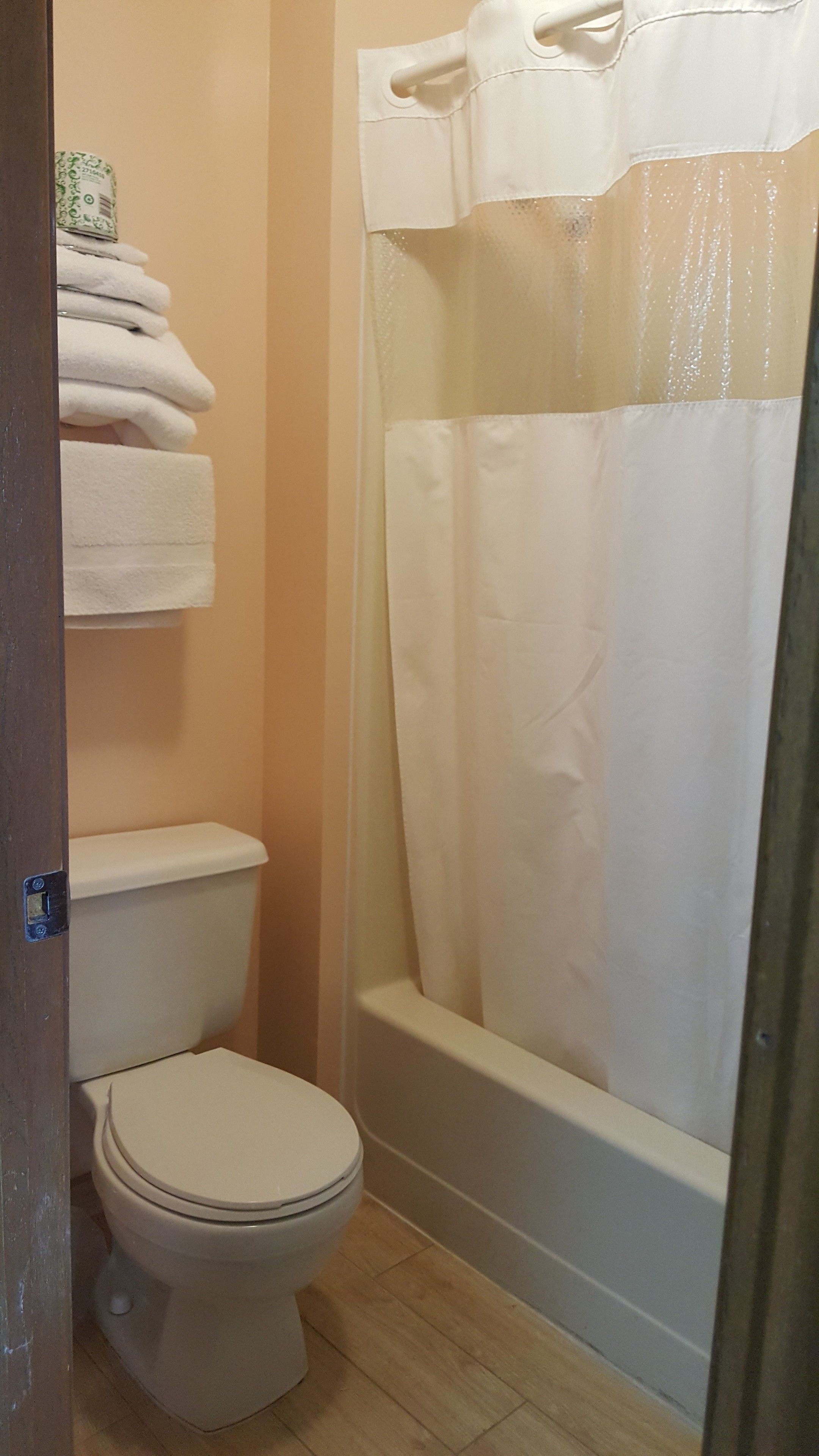 combined shower/bathtub, free toiletries, hair dryer, towels