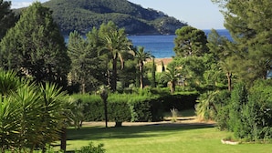 Un paisaje verde exuberante con vista al mar y una colina al fondo.