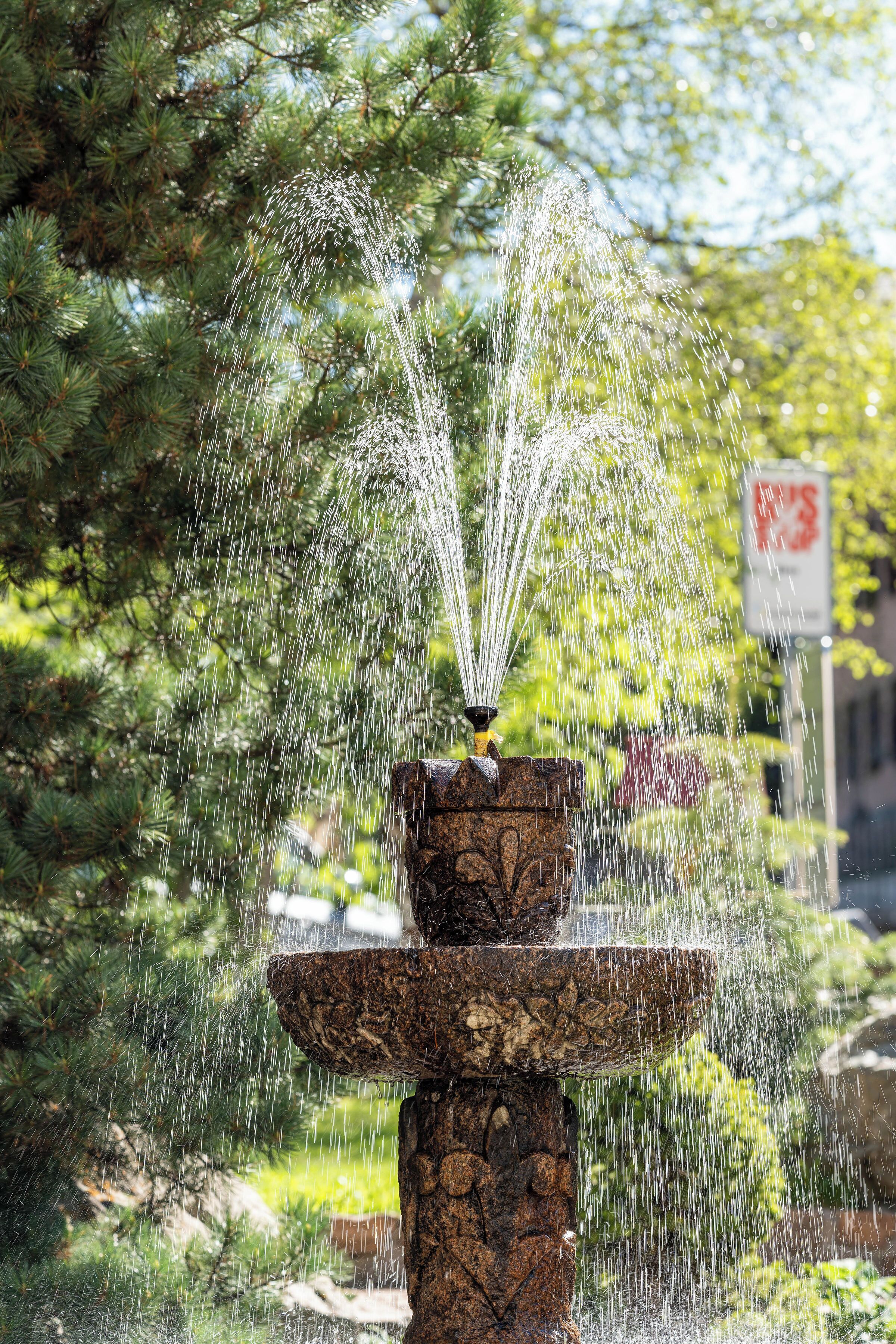 A fountain with water jets, surrounded by greenery and a stone base.
