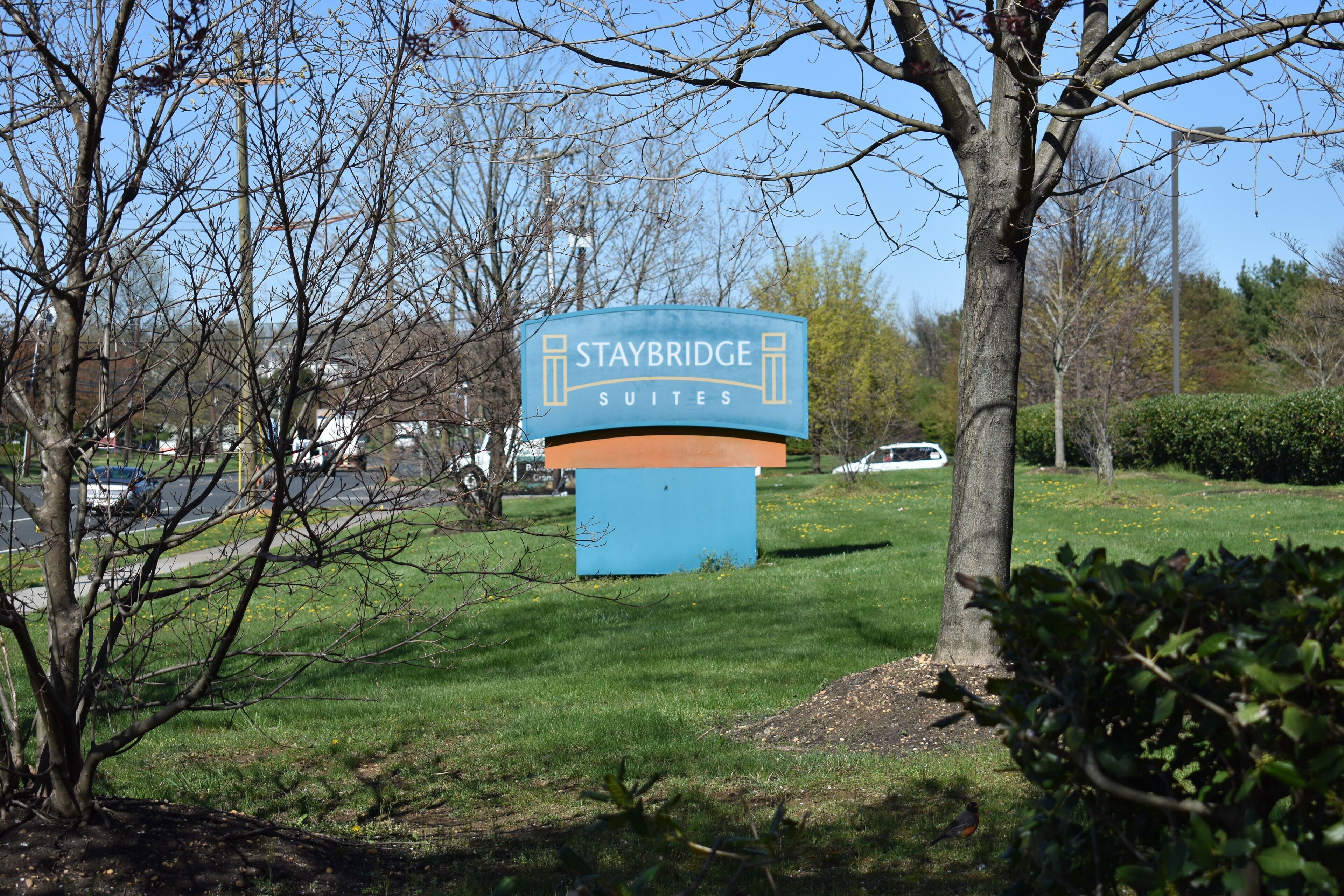 Une enseigne pour le Staybridge Suites, offrant une vue dégagée sur les environs, notamment les arbres et le parking.