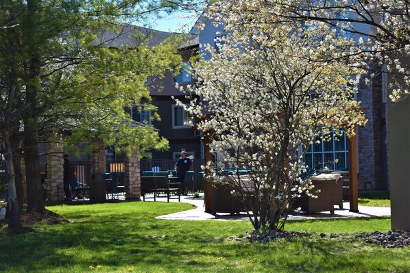 A courtyard with a stone building, outdoor seating, and a tree with white blossoms.
