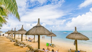 Una playa con sombrillas de paja y tumbonas.