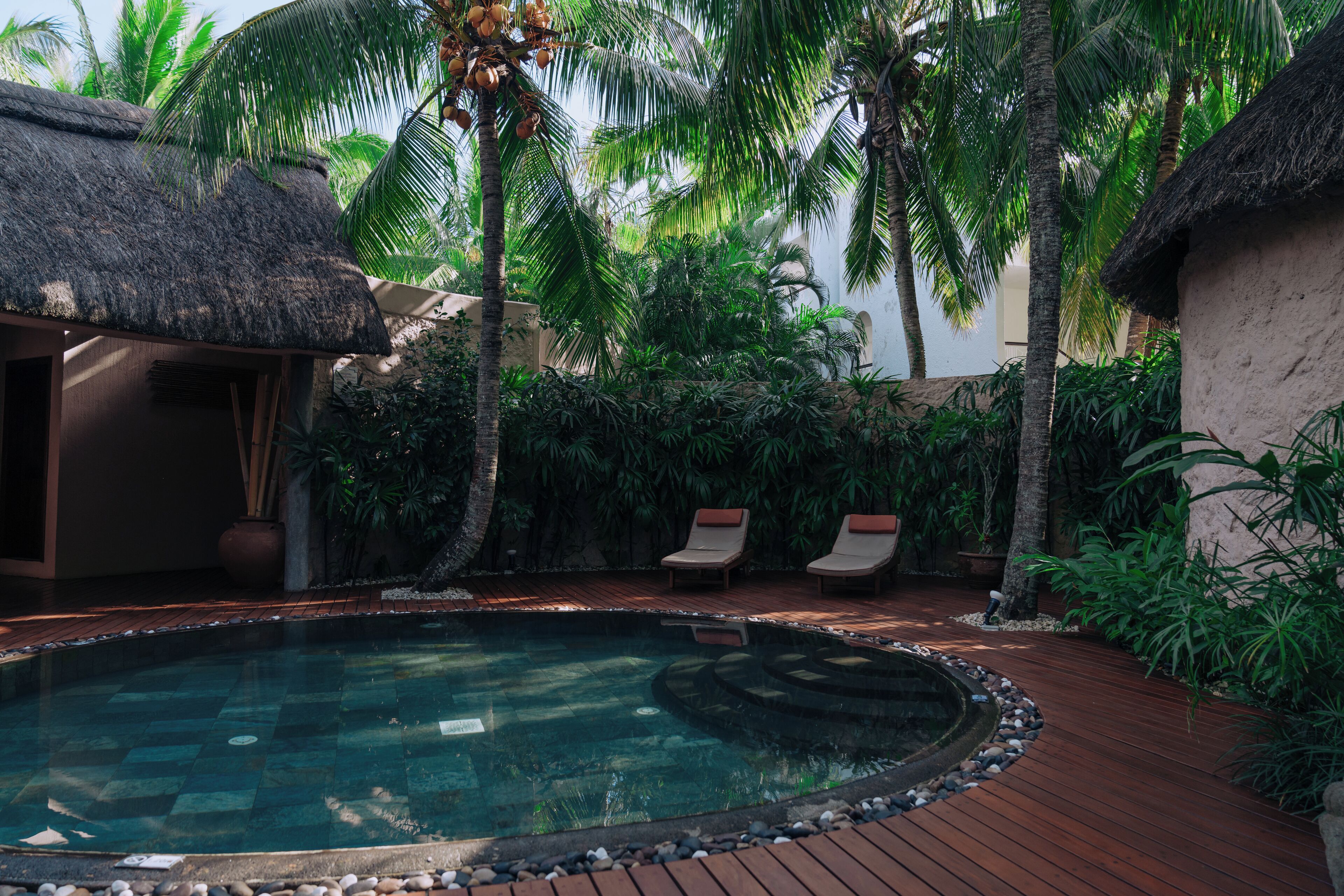 A pool area with a thatched-roof structure, lounge chairs, and tropical vegetation.