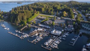 An aerial view of a marina with boats docked, a small town with houses and buildings, and a forested hill in the background.