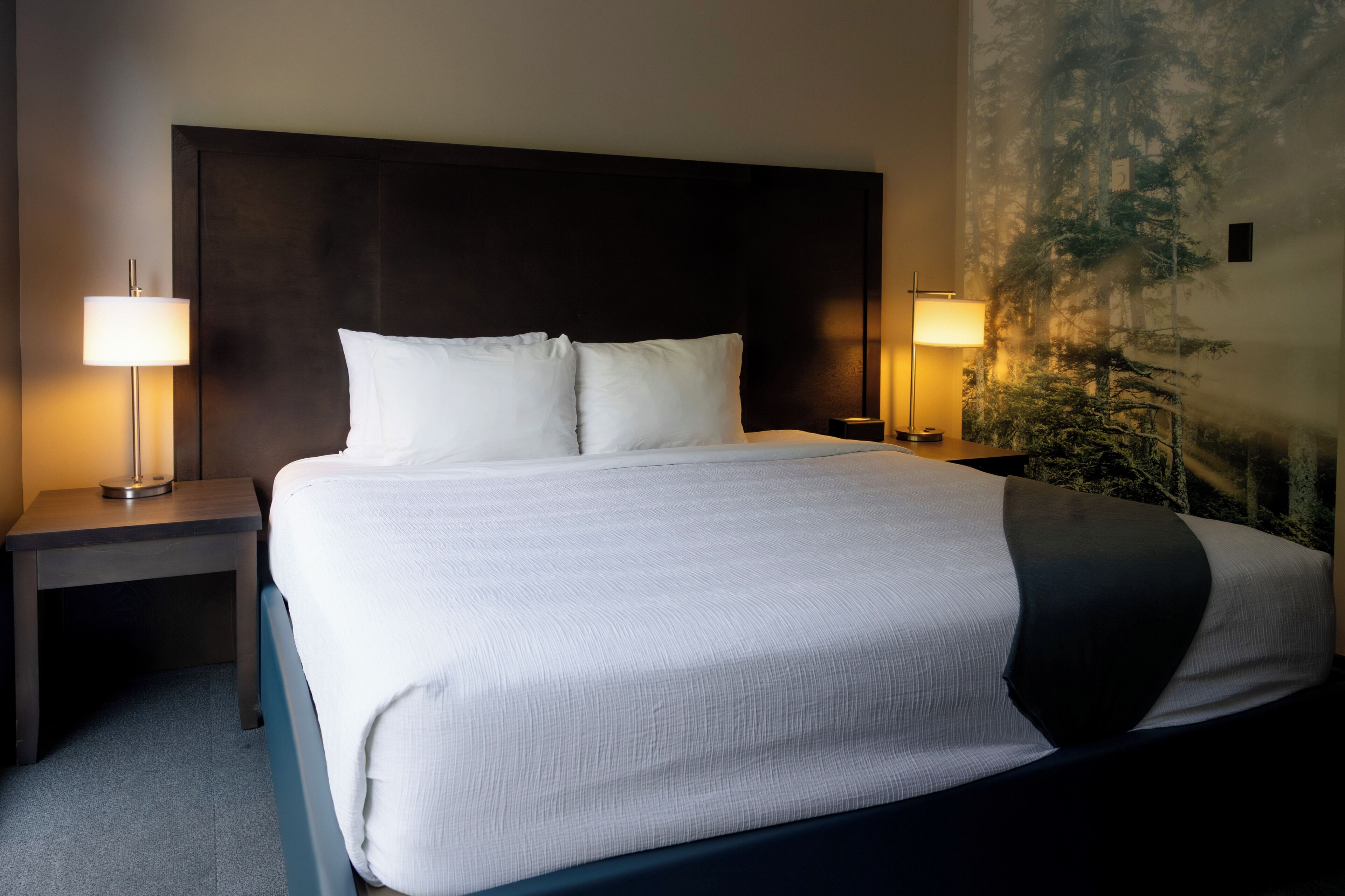 A hotel room with a large bed, two bedside tables, and a wall-mounted lamp.