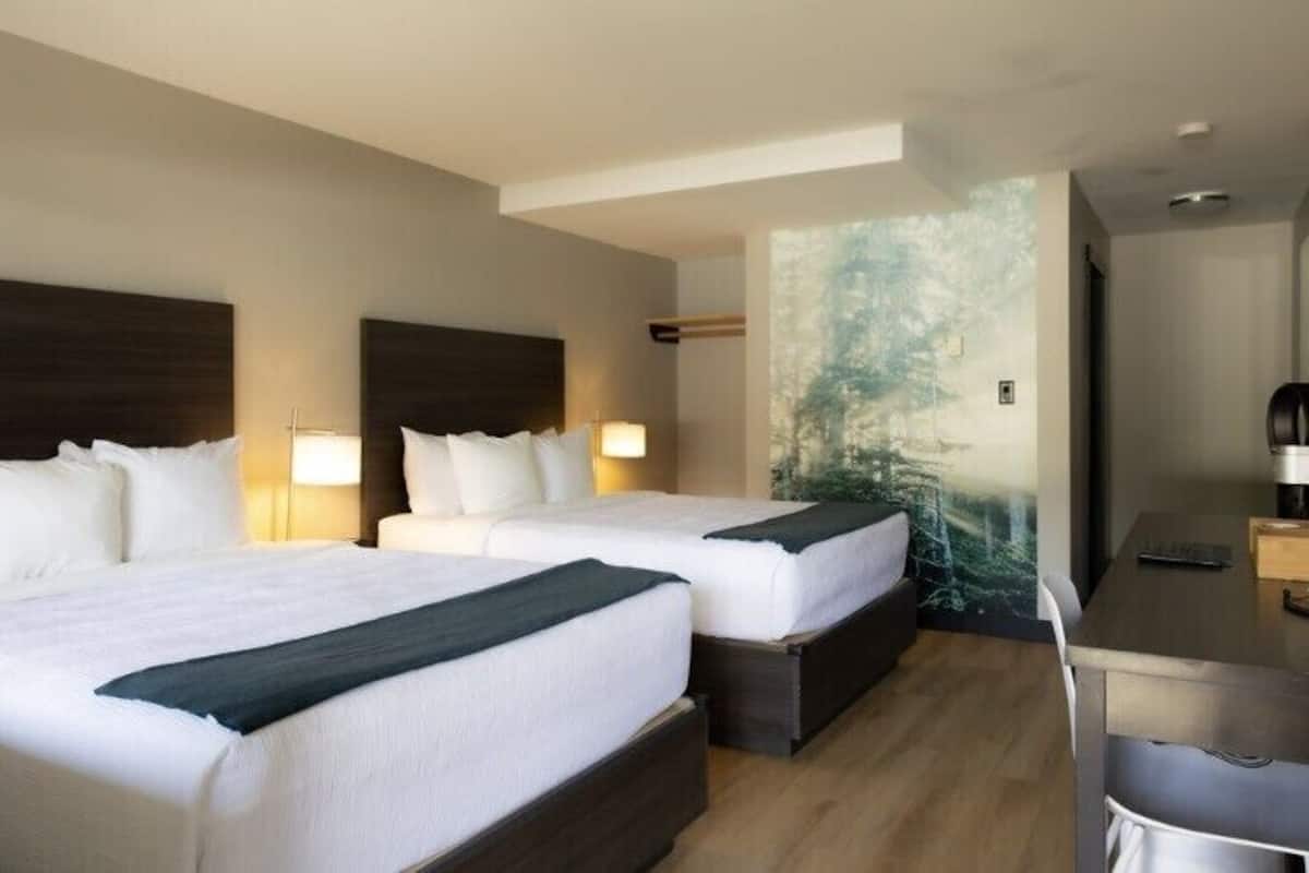 Chambre Standard, 2 grands lits | Surmatelas, bureau, fer et planche Ă repasser, Wi-Fi gratuit