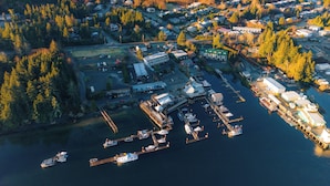 An aerial view of a coastal town with a marina, residential areas, and dense forest.