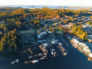 Vista aérea de un pueblo costero con un puerto deportivo, zonas residenciales y un bosque denso.