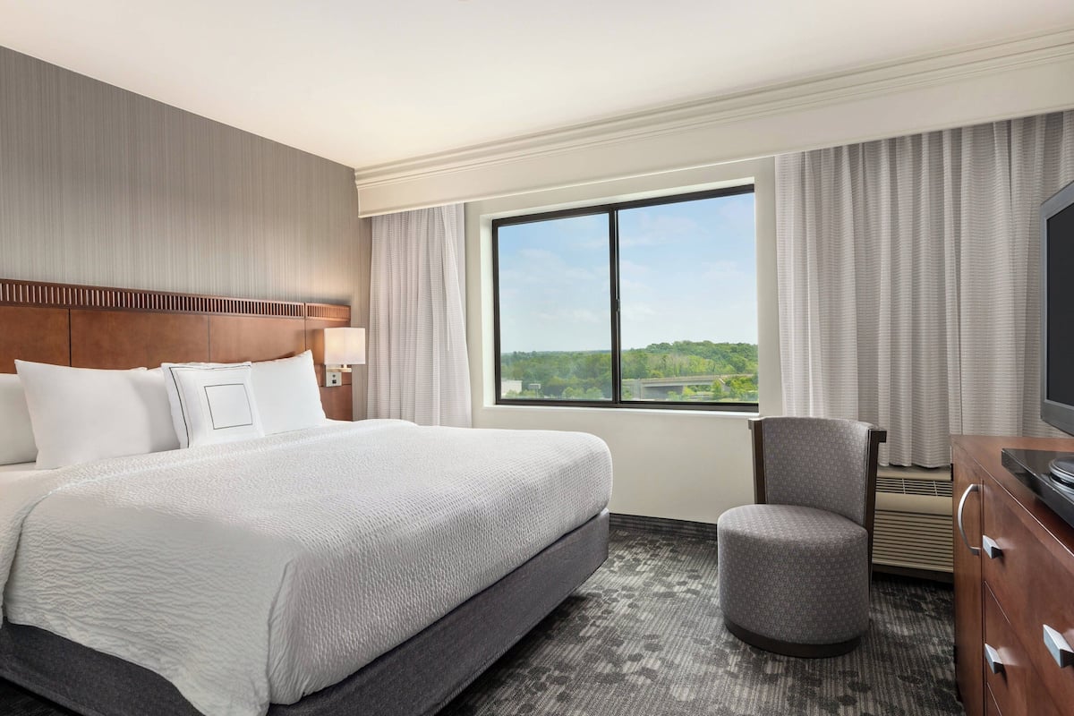 A hotel room with a large bed, a chair, a TV, and a window with a view of greenery.