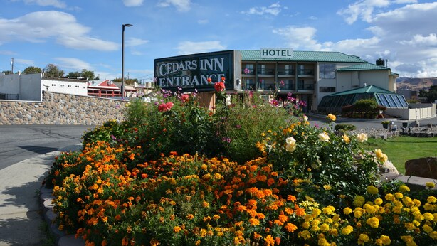 The Cedars Inn entrance with a sign, surrounded by a flower bed with various flowers.