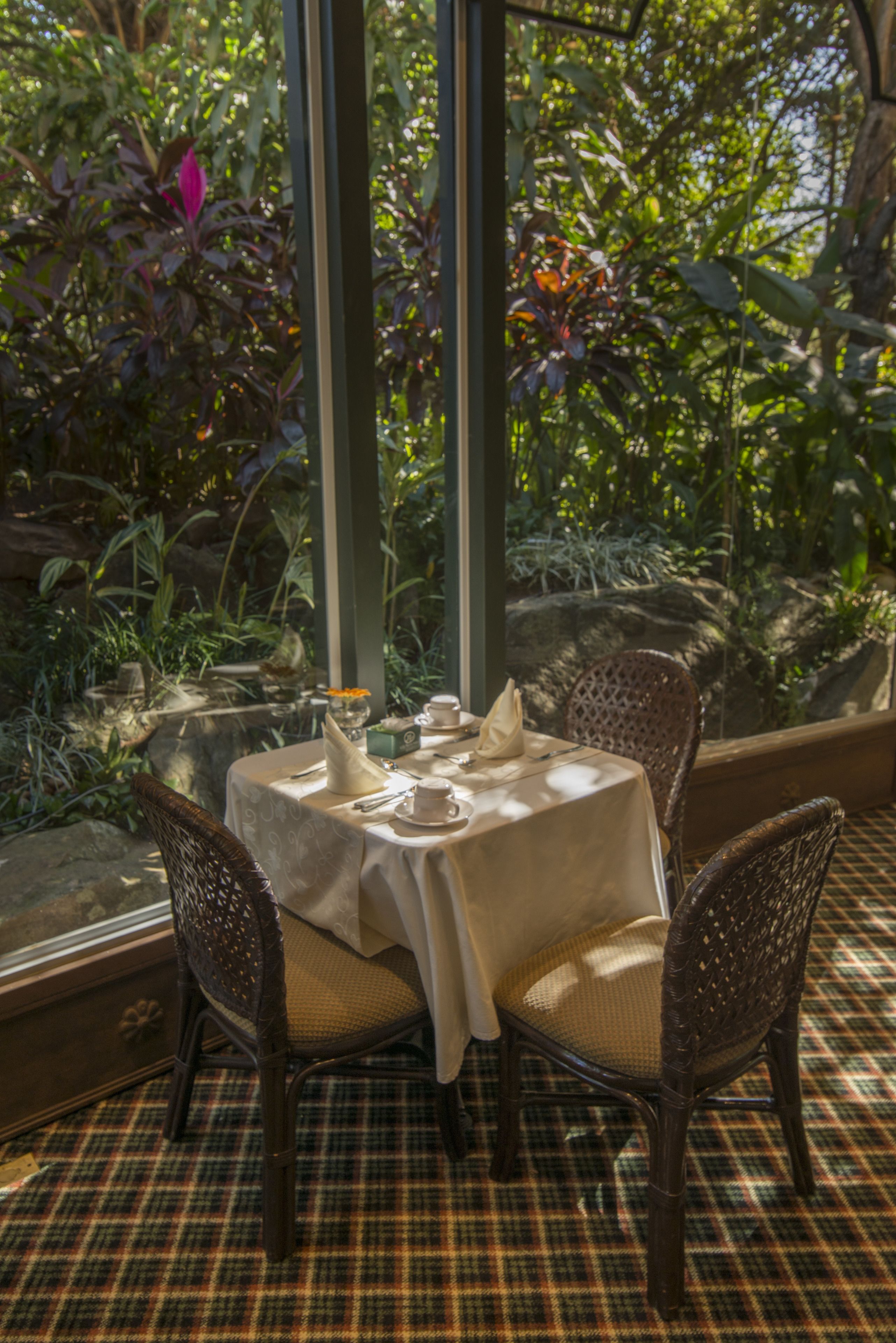 Mesa lista para dos con vistas a exuberante vegetación.