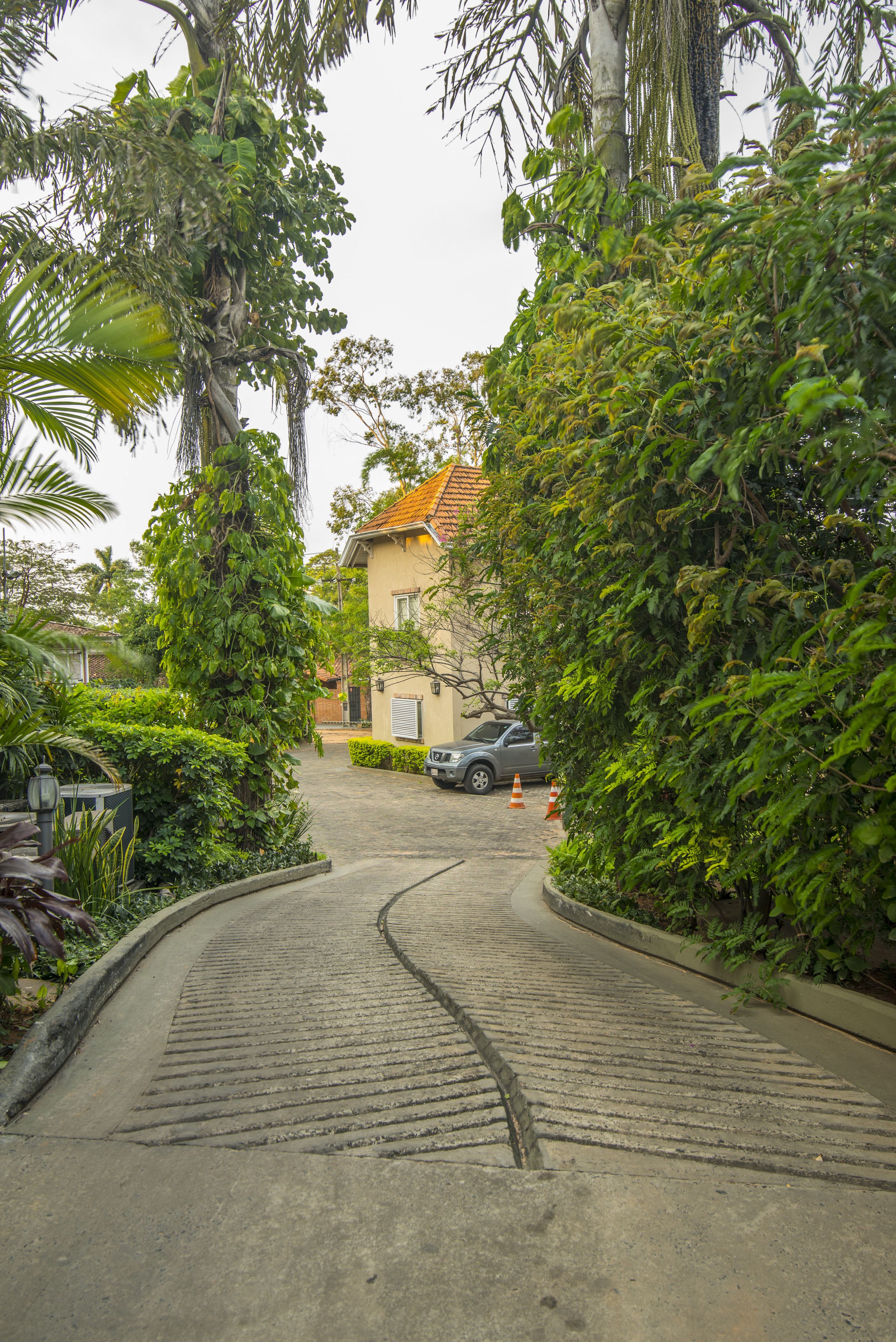 A paved pathway leading to a building surrounded by lush greenery.