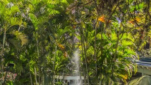 A swimming pool with a fountain in the center, surrounded by lush greenery and a pergola. - Hotel Villa Morra Suites (Asunción)