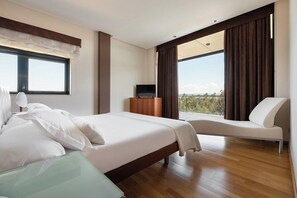 Executive Room, Terrace