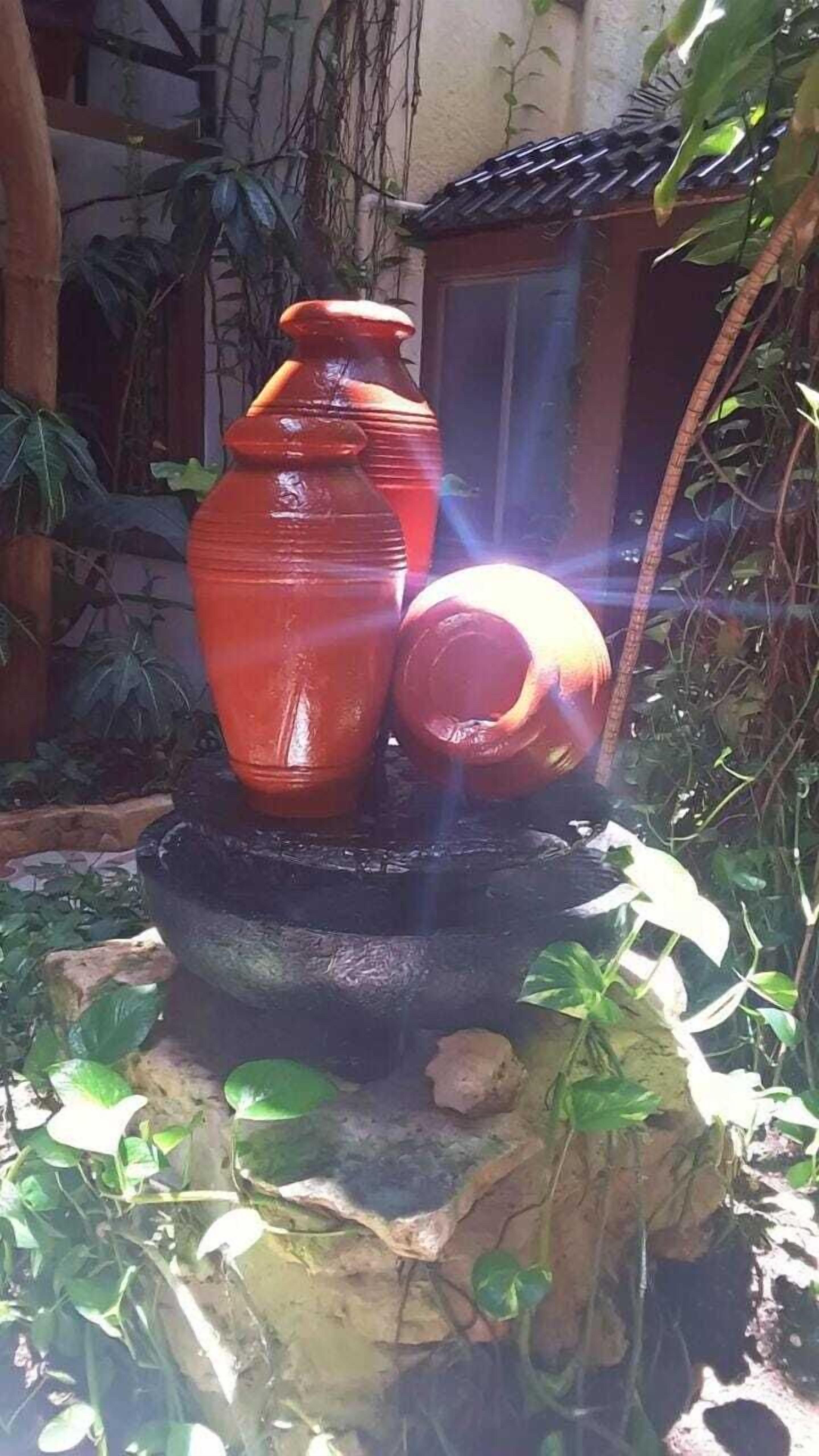 Foto - Posada Mariposa Boutique Hotel - 5th Avenue