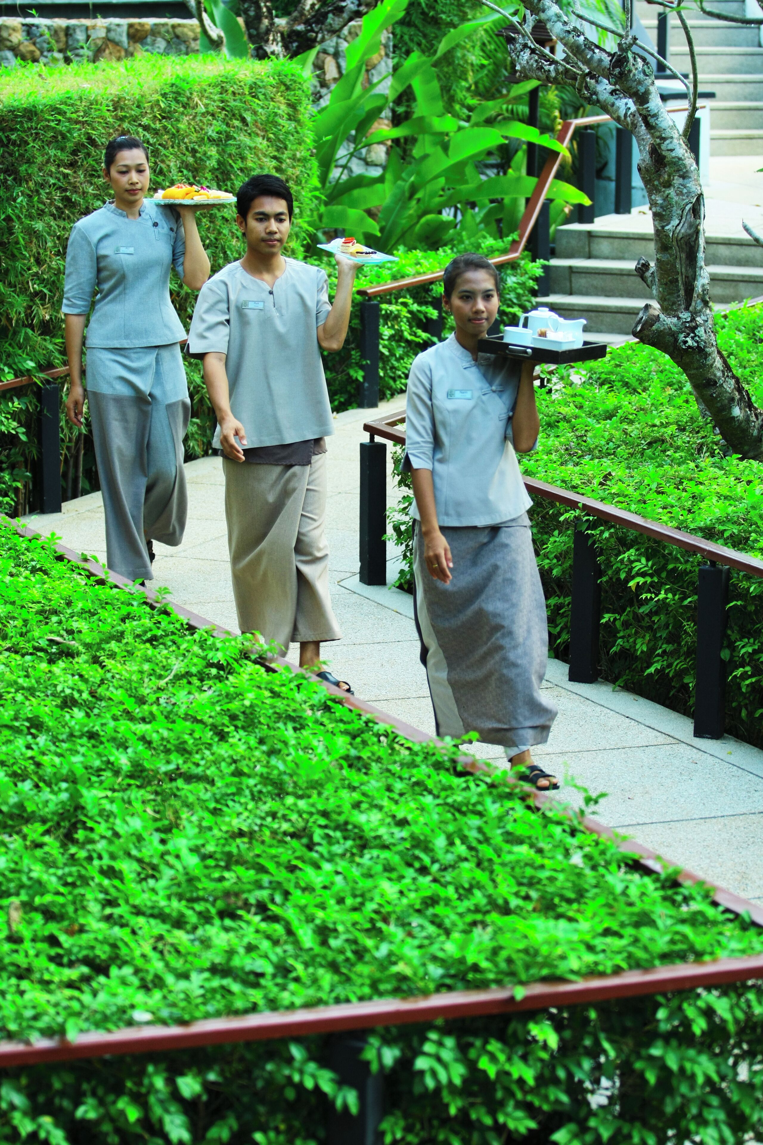 A pathway with lush greenery and a stone wall.