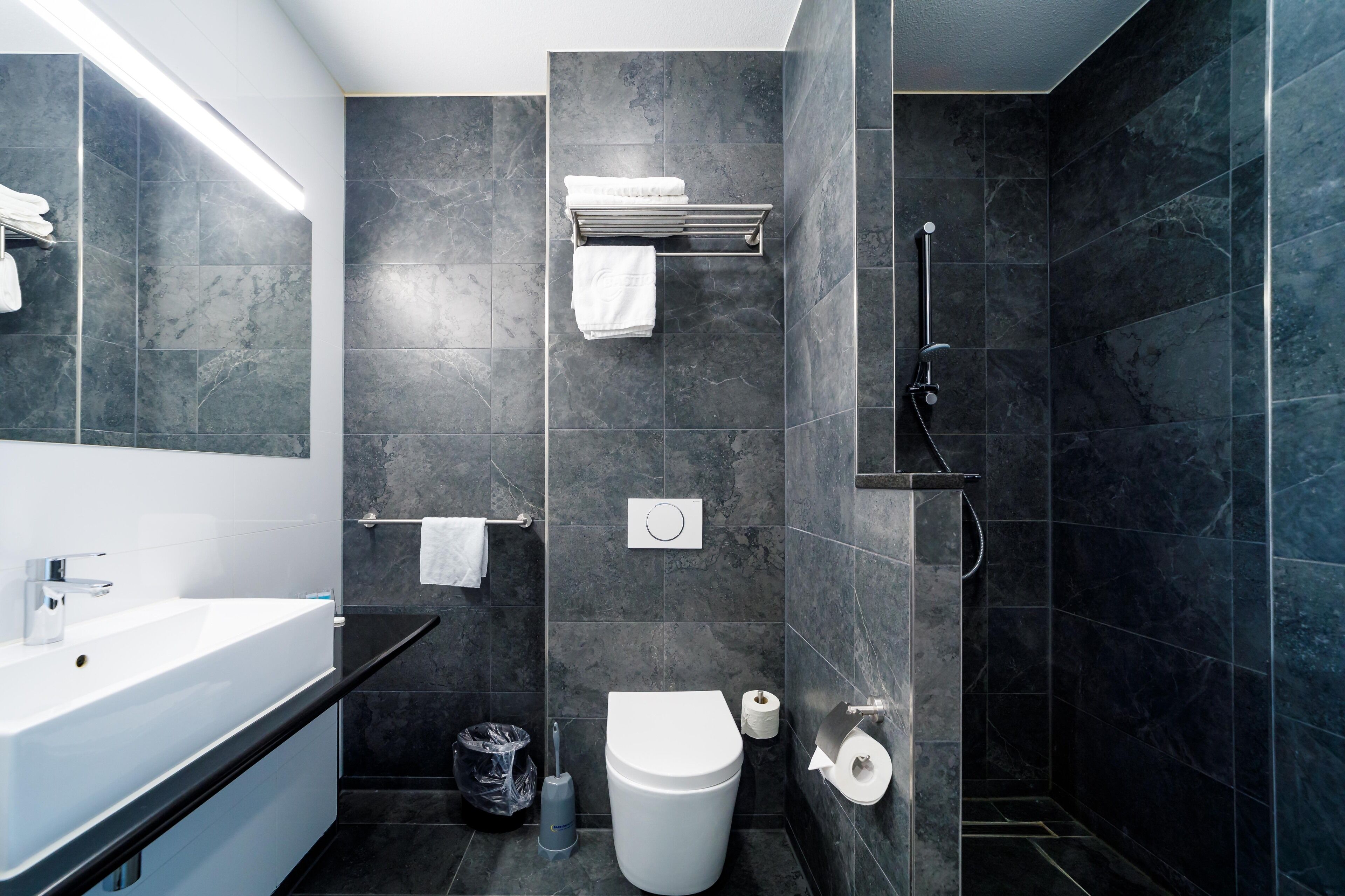 deluxe king kamer | bathroom | shower, free toiletries, hair dryer, towels