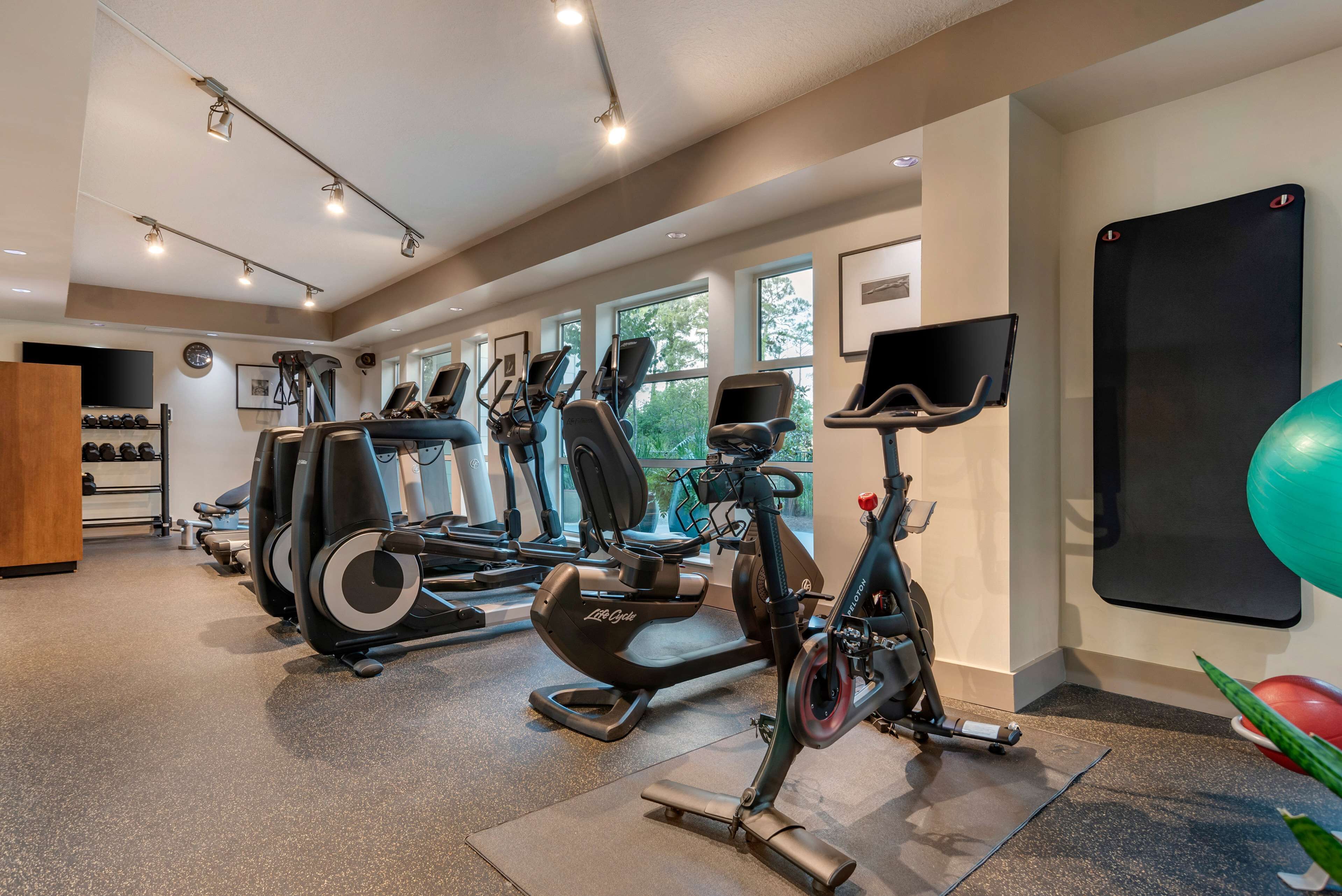 A gym with treadmills, elliptical machines, and exercise bikes.