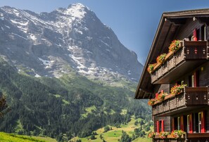 Aerial view - Romantik Hotel Schweizerhof (Grindelwald)