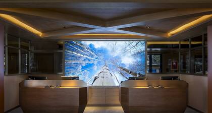 Limelight Hotel Aspen
