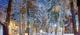 Limelight Hotel Aspen