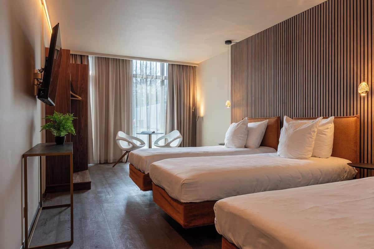 A hotel room with two beds, a desk, a chair, a TV, and a plant.