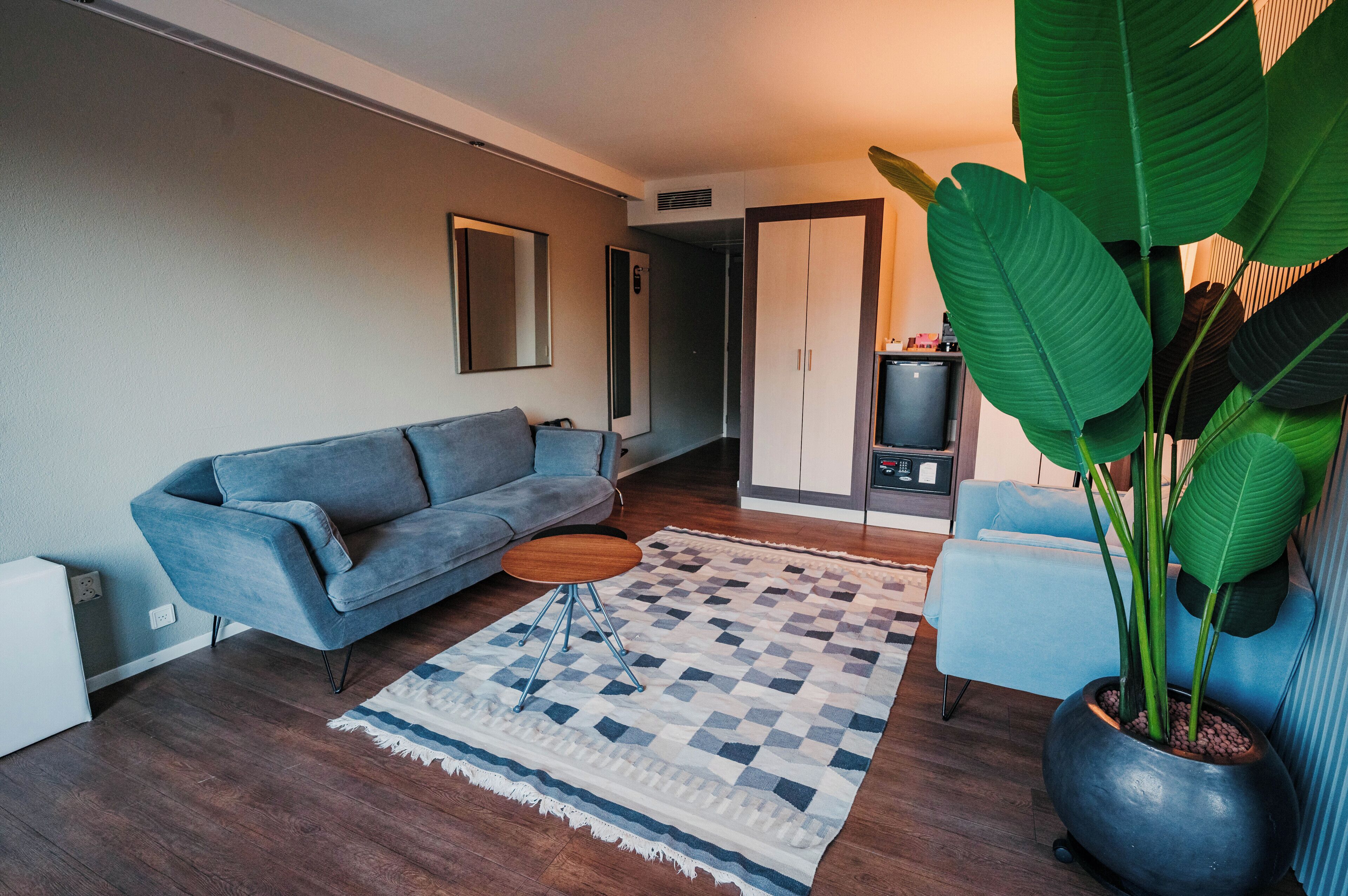 Una sala de estar moderna con un sofá, una mesa de centro, una alfombra, una planta en maceta y un mueble aparador.