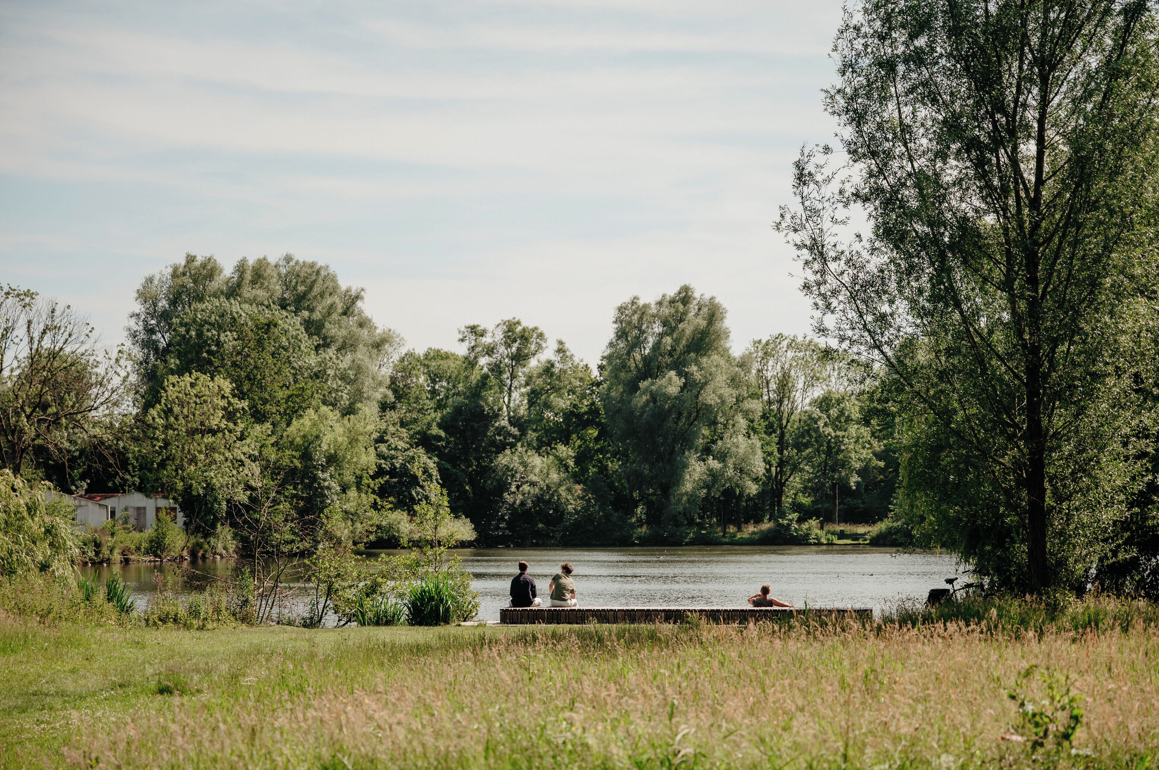 A serene lakeside setting with a dock, trees, and a small building in the background.