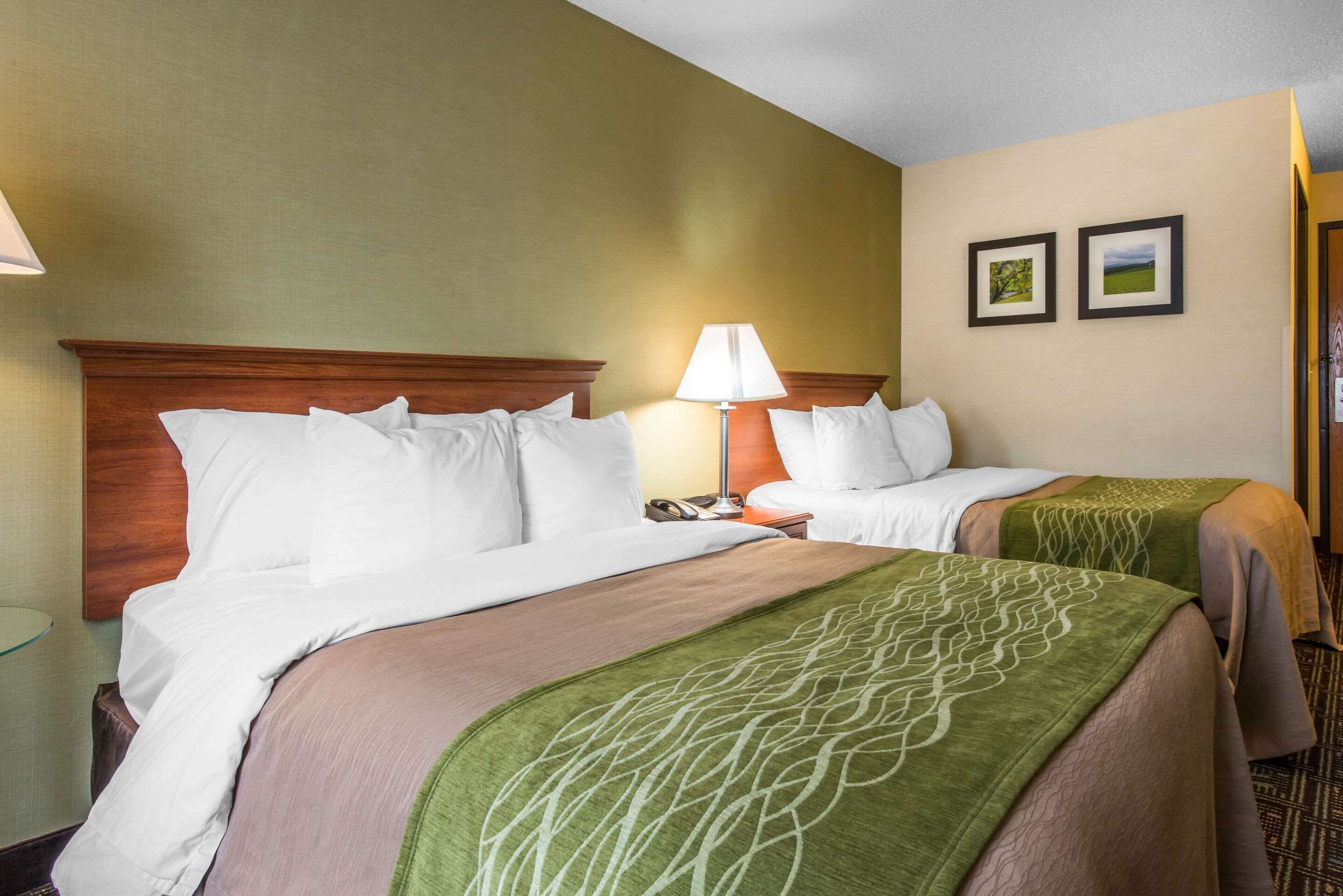 A hotel room with two beds, a wooden headboard, a bedside table with a lamp, and two framed pictures on the wall.