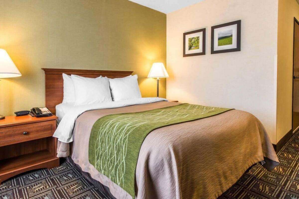 A hotel room with a bed, bedside lamps, a telephone, a nightstand, and two framed pictures on the wall.