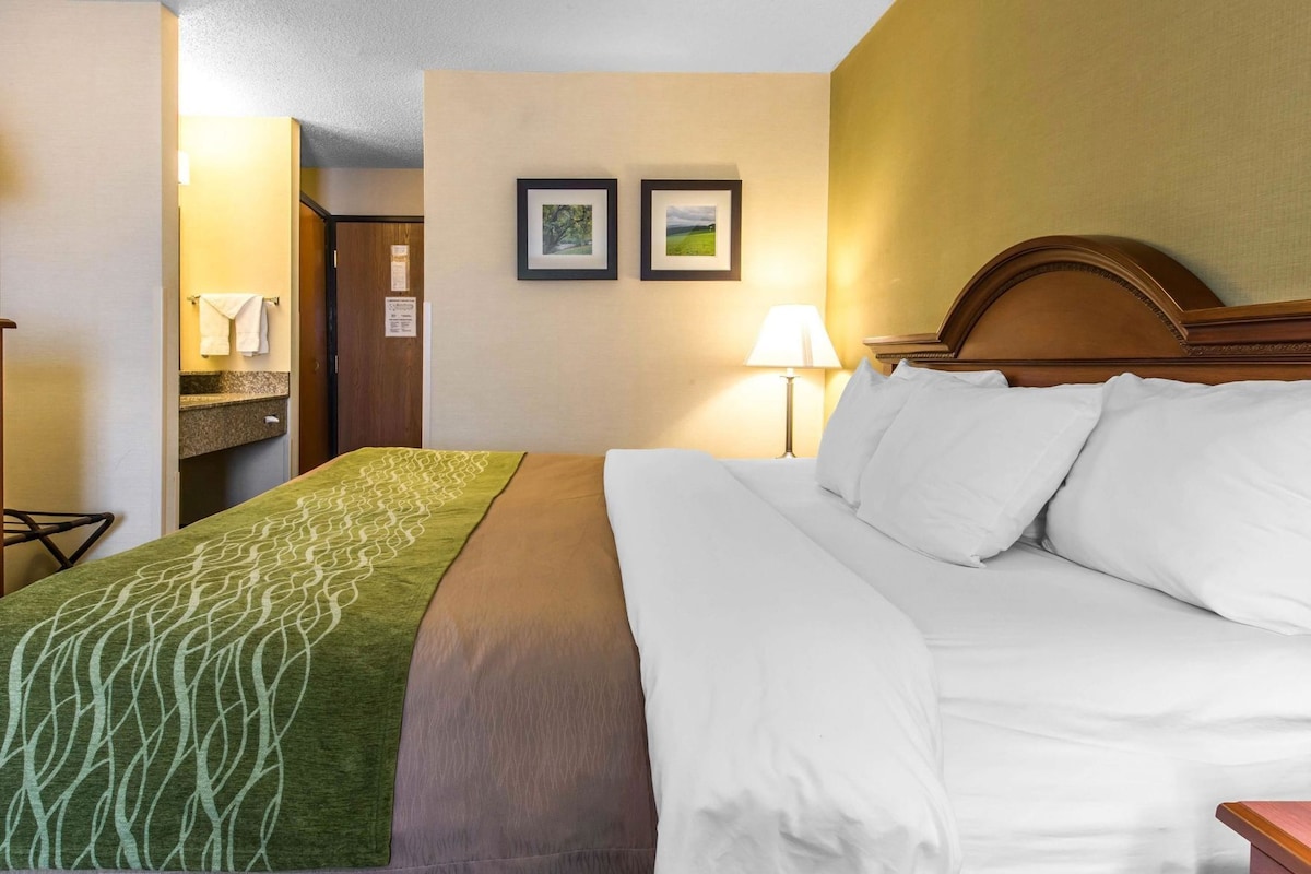 Une chambre d’hôtel avec un lit, une table de chevet, une lampe et deux tableaux encadrés au mur.