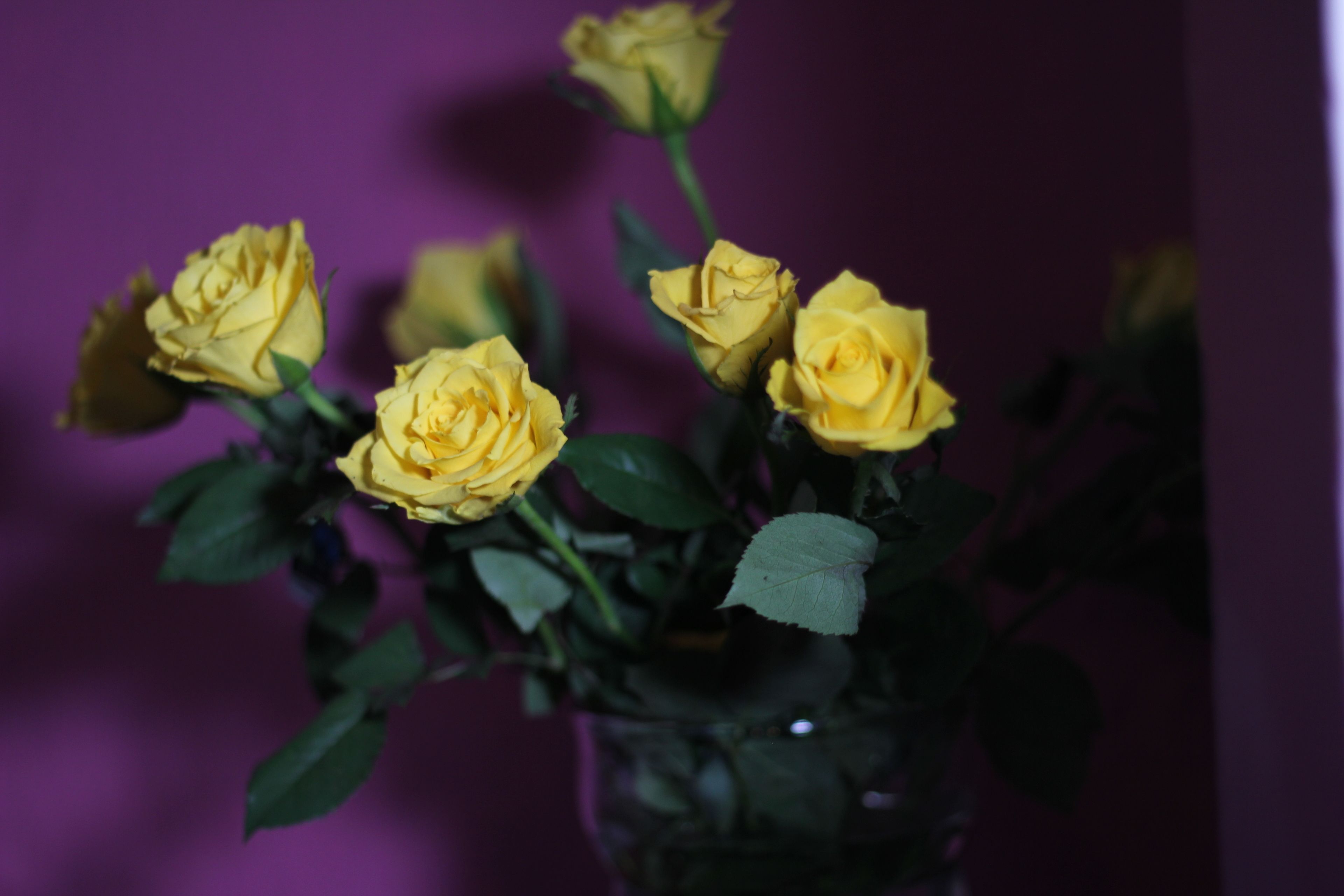 Photo - Carlton Hotel