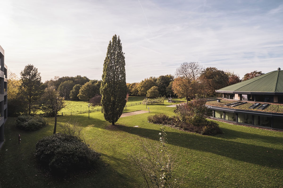 be serene suite | view from room