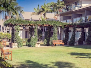 A courtyard with a pergola covered in greenery, a wooden bench, and a palm tree.