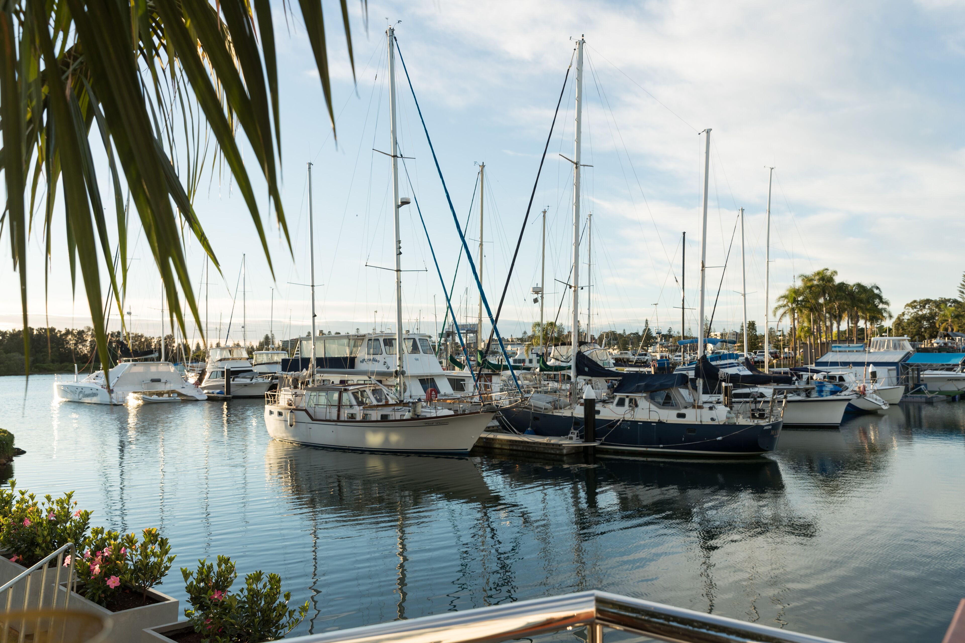 Ein Yachthafen mit mehreren vertäuten Booten, ruhigem Wasser und blauem Himmel.