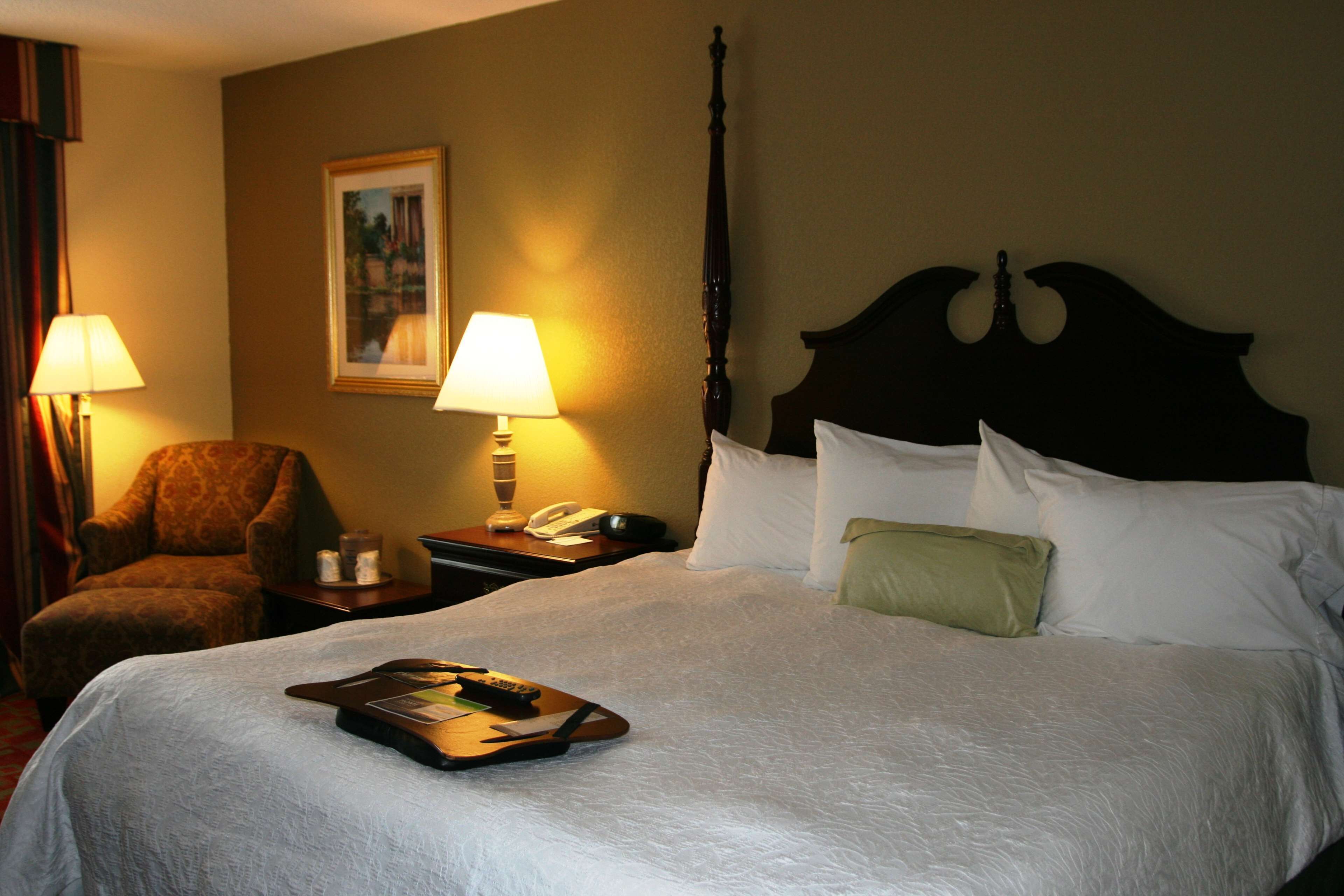 room, 1 king bed with sofa bed, non smoking, refrigerator & microwave | in-room safe, iron/ironing board, free wifi, bed sheets