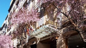 A hotel facade with a classical architectural style, featuring a prominent entrance with a sign, and cherry blossom trees lining the street. - Hotel Inca (Zaragoza)