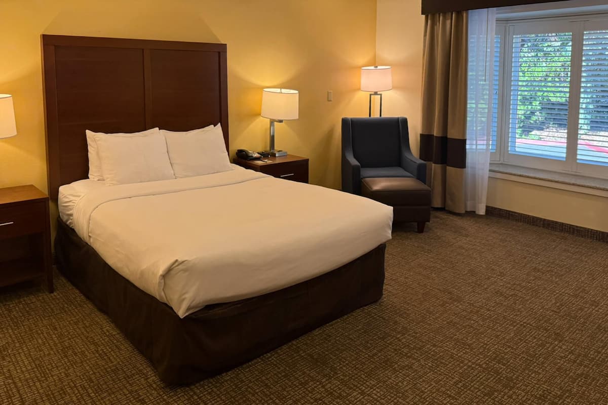 A hotel room with a large bed, a nightstand with a lamp, a chair, and a window with blinds.