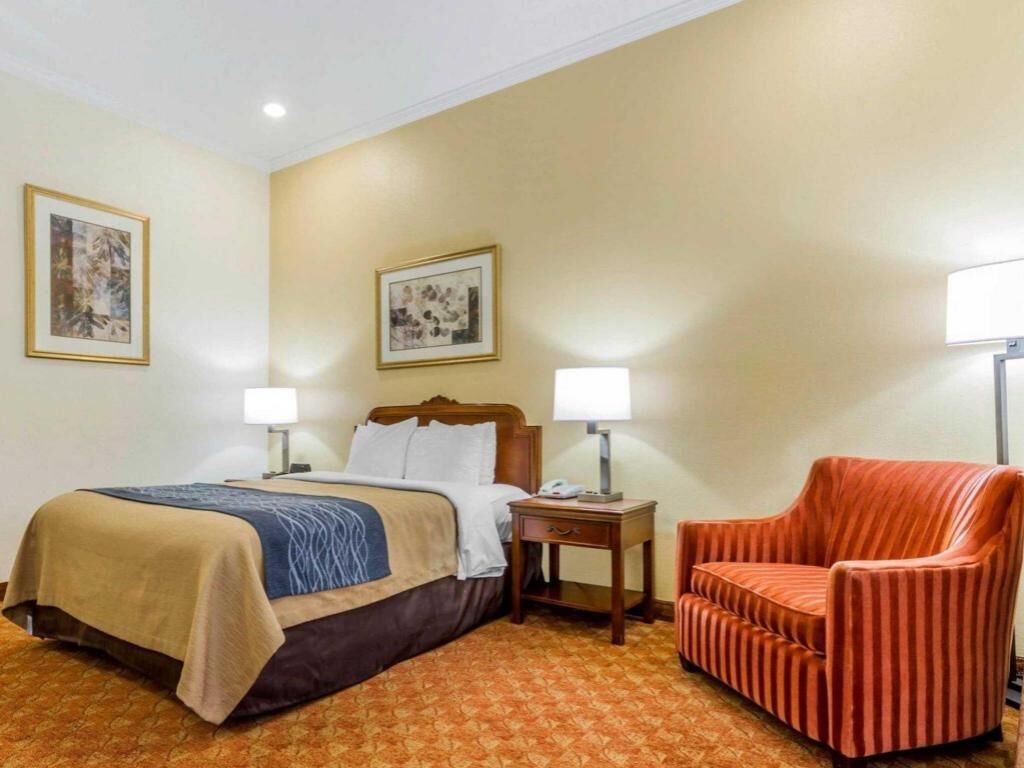 Ropa de cama de alta calidad y escritorio 