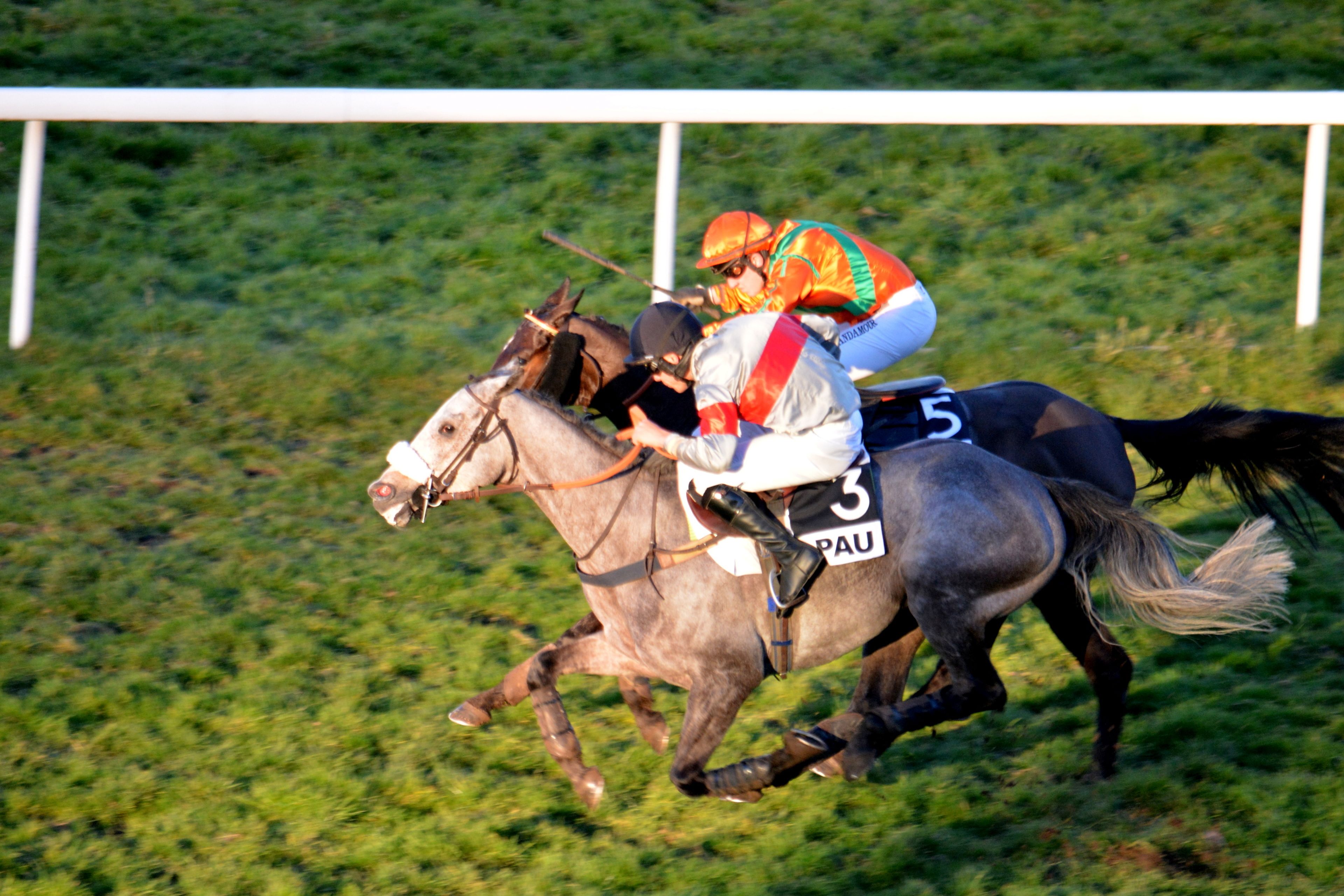 Una carrera de caballos con jinetes.