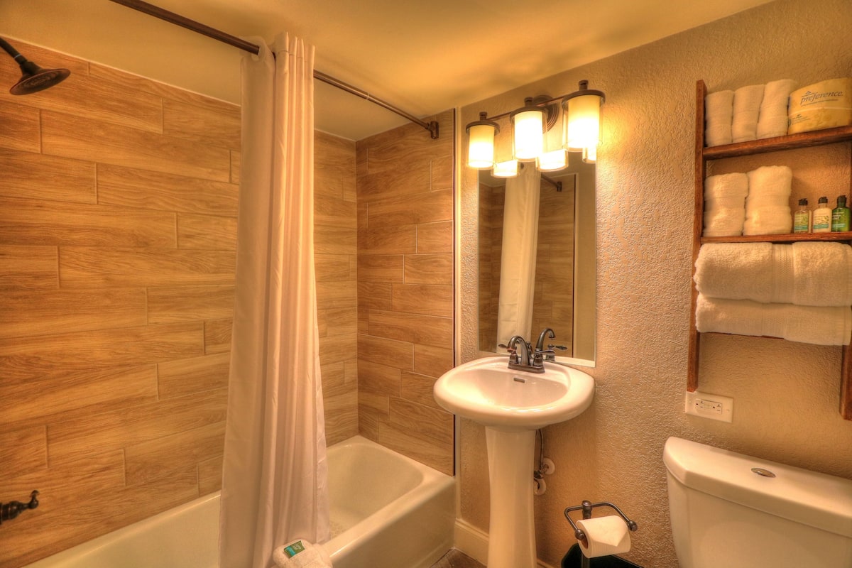 combined shower/bathtub, free toiletries, hair dryer, towels